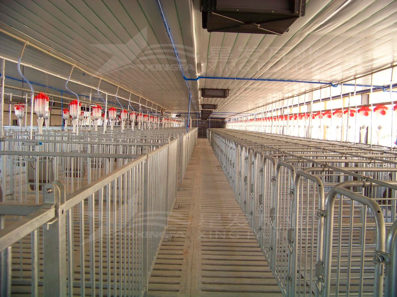 高溫來襲，養(yǎng)殖場(chǎng)安裝樹脂瓦，為小動(dòng)物營造避暑勝地