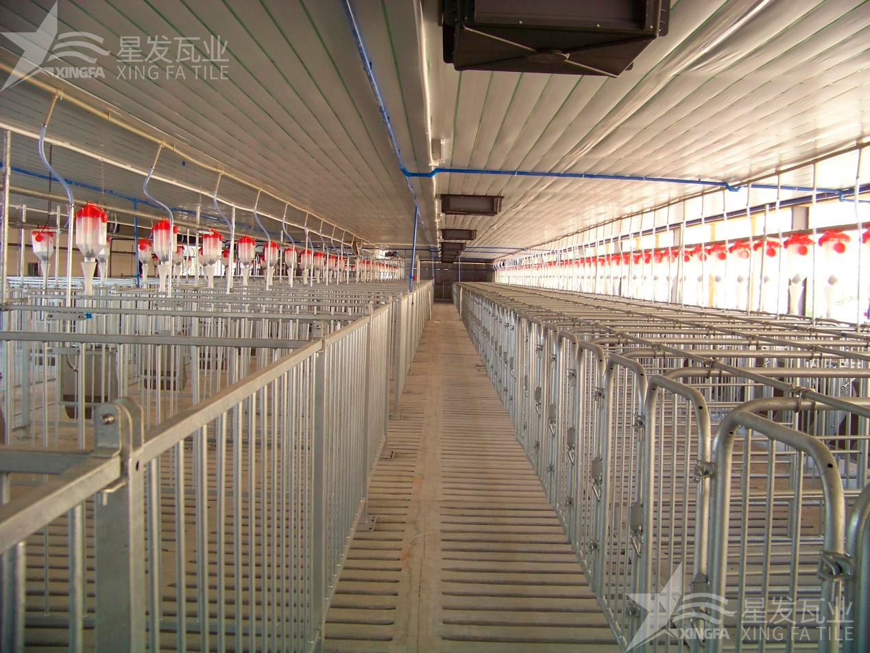 炎炎夏日即將來臨，為什么養(yǎng)殖場越來越多地選擇PVC瓦？